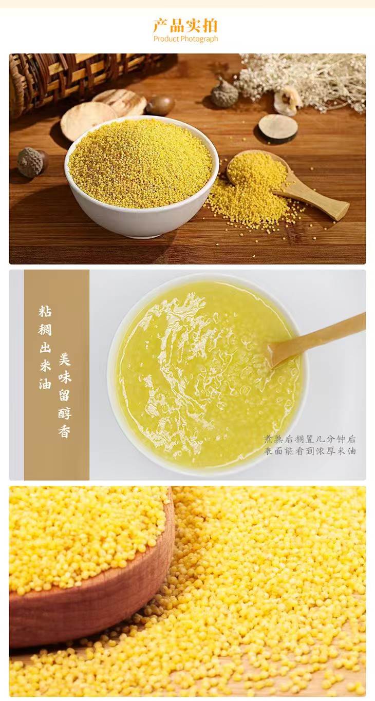 田时传记山西黄小米