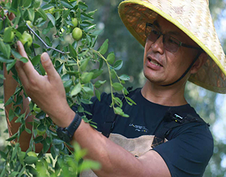 沐浴阳光朴门农场