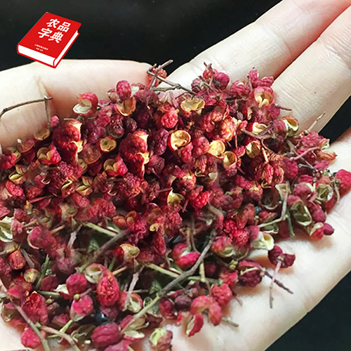 田时传记大红袍花椒